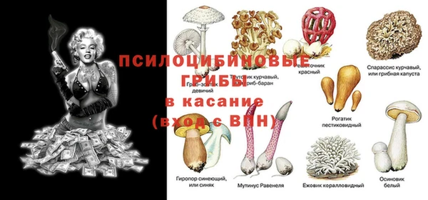 прущая мука Няндома
