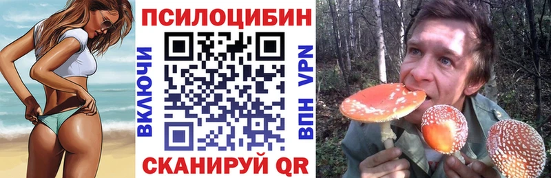 где найти наркотики  Сафоново  Галлюциногенные грибы Psilocybe 